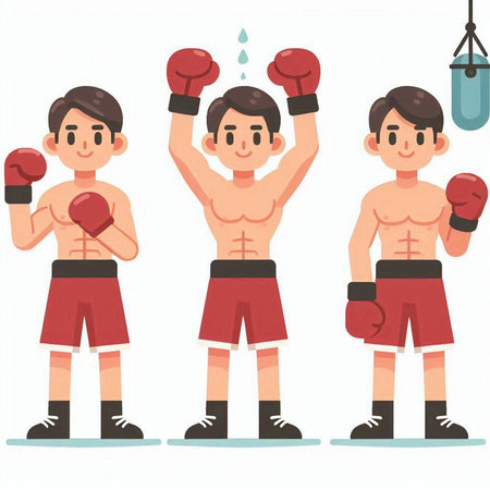 Boxer character set. Vector illustration in cartoon style. Isolated on white background.のイラスト素材
