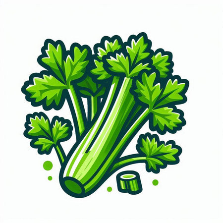 Celery icon. Vector illustration of celery isolated on white backgroundのイラスト素材