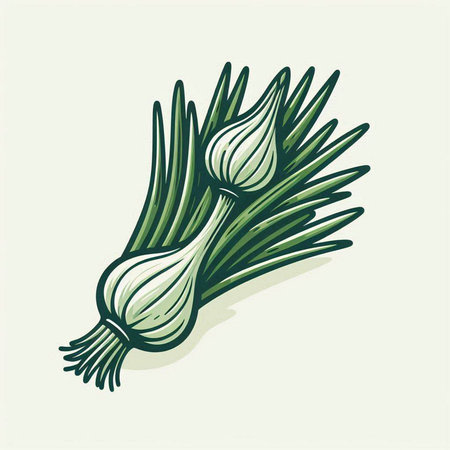 Illustration of a bunch of green onions on a light background.のイラスト素材