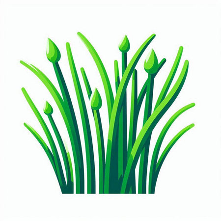Green grass on a white background. Vector illustration for your design.のイラスト素材