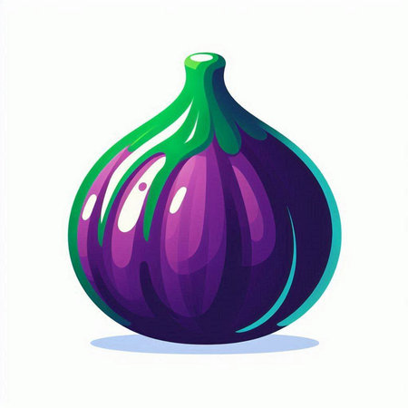 Illustration of a purple fig on a white background. Vector illustrationのイラスト素材