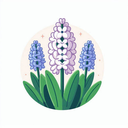 Blue hyacinth flowers on a white background. Vector illustration.のイラスト素材