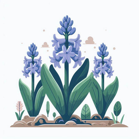 Blue hyacinths in the garden. Vector illustration in flat style.のイラスト素材