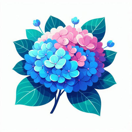 Hydrangea flower isolated on white background. Vector illustration. Blue and pink Hydrangea flowers.のイラスト素材