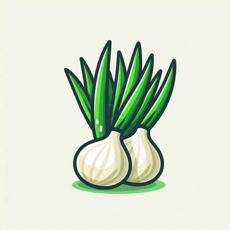 Illustration of fresh green onion on white background. Vector illustration.のイラスト素材