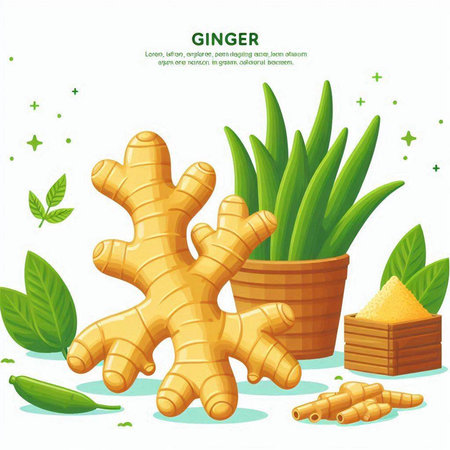 Ginger root with leaves and seeds. Vector illustration in cartoon style.のイラスト素材