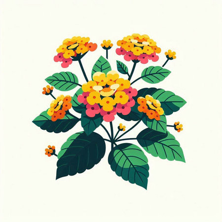 Lantana camara flowers on a white background. Vector illustration.のイラスト素材