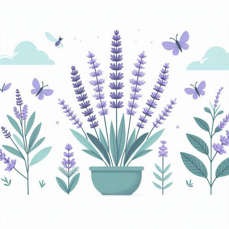 Lavender flowers in a pot and butterflies. Vector illustration.のイラスト素材