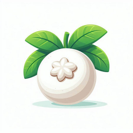 Mangosteen fruit with leaves isolated on white background. Vector illustration.のイラスト素材