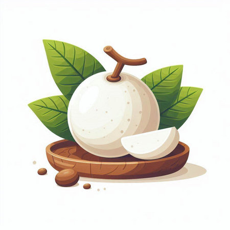 Illustration of longan fruit in wooden bowl with green leaves.のイラスト素材