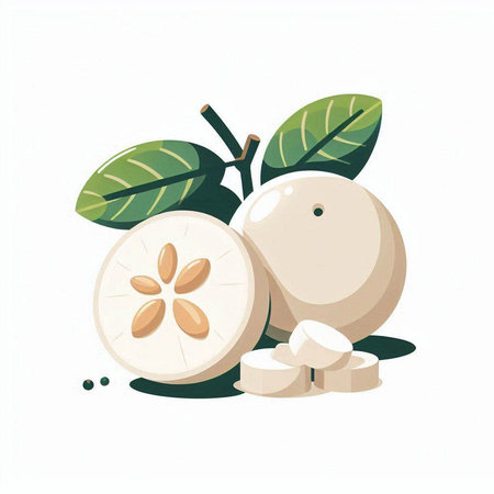 Vector illustration of whole and half of mangosteen fruit with leaves.のイラスト素材