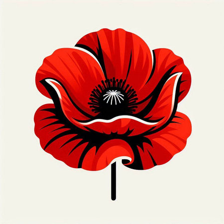 poppy flower illustration on white background, vector, eps10のイラスト素材