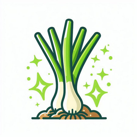 Vector illustration of green onion with sprouts on a white background.のイラスト素材