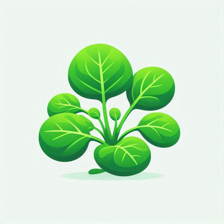 Illustration of a green leafy plant isolated on a white backgroundのイラスト素材