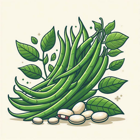 Illustration of green beans with leaves and seeds. Vector illustration.のイラスト素材