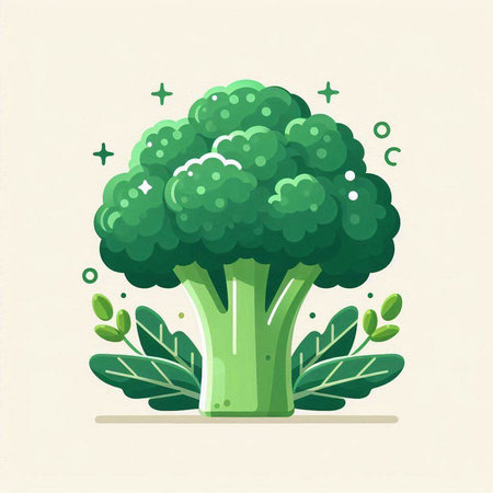 Broccoli vegetable vector illustration, flat cartoon style. Broccoli icon.のイラスト素材