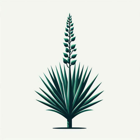 Illustration of palm tree isolated on white background. Vector illustration.のイラスト素材