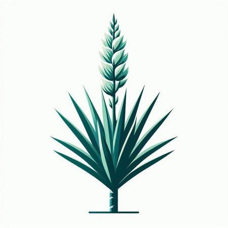 Agave plant isolated on a white background. Vector illustration. Eps 10.のイラスト素材