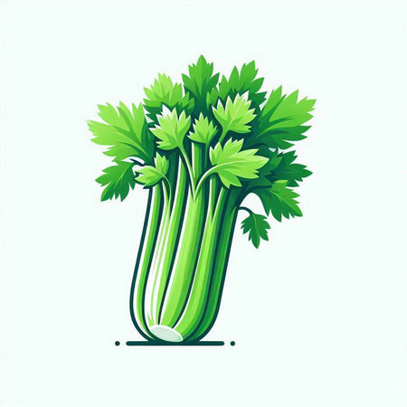 Celery isolated on white background. Vector illustration. Eps 10.のイラスト素材