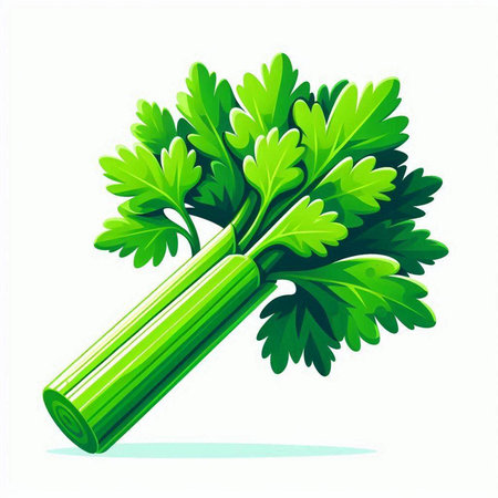 Celery isolated on white background. Vector illustration. Eps 10.のイラスト素材