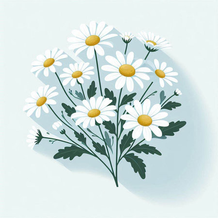 Chamomile bouquet on light blue background. Vector illustration.のイラスト素材