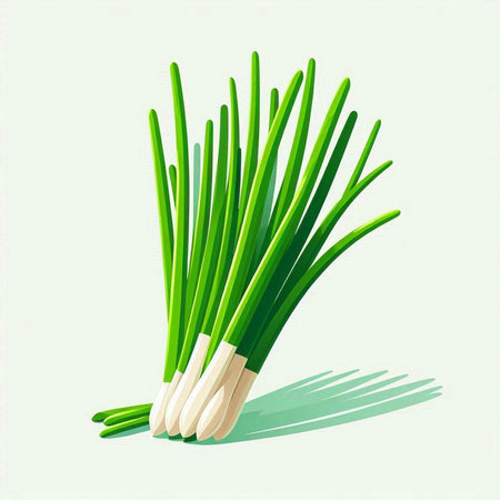 Fresh green onion on white background. Vector illustration. Eps 10.のイラスト素材