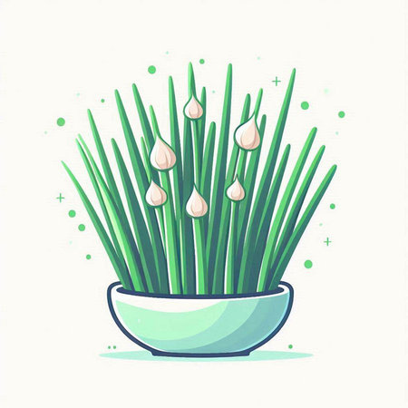 Vector illustration of green onion in a pot on a white background.のイラスト素材