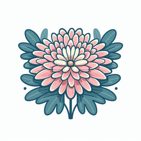 Hand drawn pink chrysanthemum flower. Vector illustration.のイラスト素材