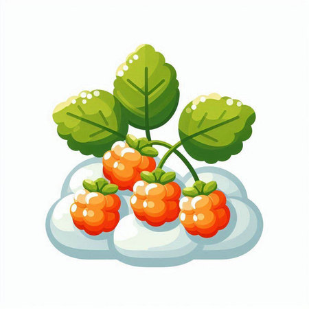 Raspberry with leaves on a white background. Vector illustration in cartoon style.のイラスト素材