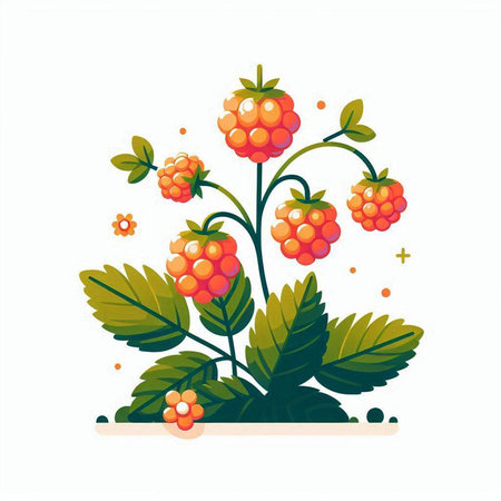 Bouquet of ripe berries on a white background. Vector illustration.のイラスト素材