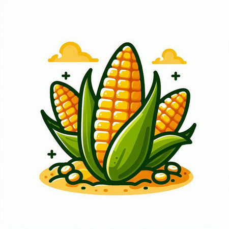 Illustration of corn on the cob on white background. Vector illustration.のイラスト素材