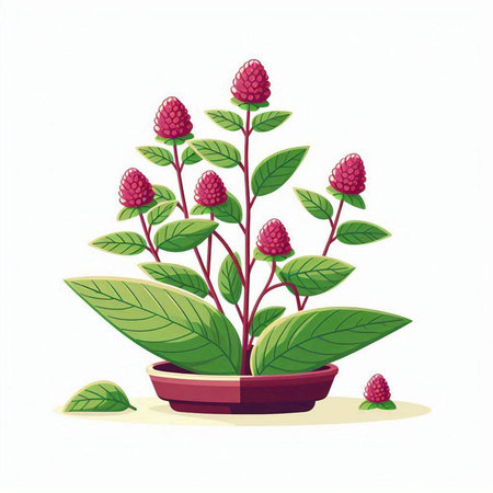 Illustration of a pink flower in a pot on a white backgroundのイラスト素材