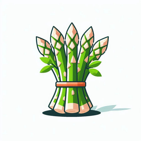 Bunch of fresh green asparagus isolated on white background.のイラスト素材