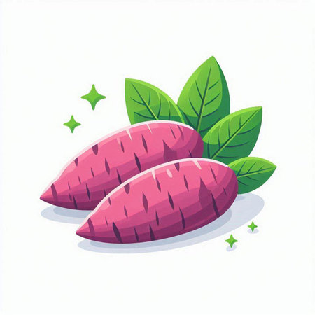 Sweet potato vector illustration, fresh sweet potato isolated on white background.のイラスト素材