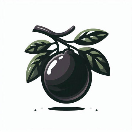 Illustration of black plums on white background. Vector illustration.のイラスト素材