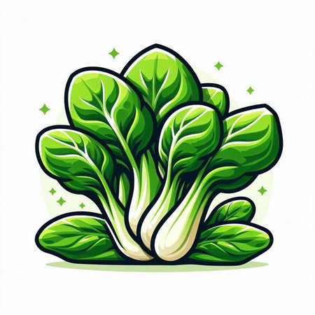 Illustration of fresh green chinese cabbage on a white background.のイラスト素材