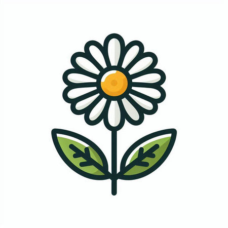 Chamomile flower icon. Chamomile flower vector illustrationのイラスト素材