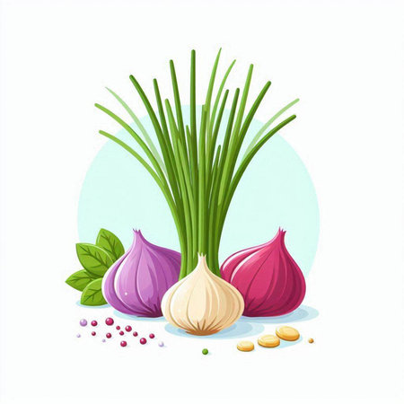 Garlic and onion on white background. Vegetable vector illustration.のイラスト素材