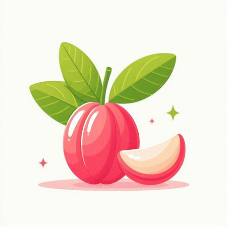 Peach fruit vector illustration, fresh tropical fruit isolated on white backgroundのイラスト素材