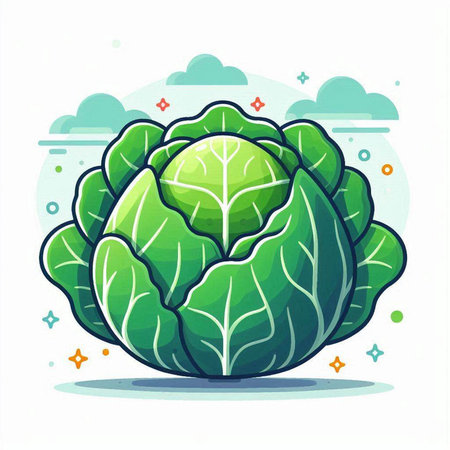 Vector illustration of fresh cabbage on white background. Cabbage icon.のイラスト素材