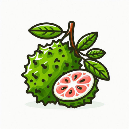 Soursop fruit isolated on white background. Hand drawn vector illustration.のイラスト素材