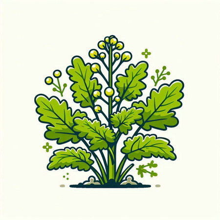 Illustration of a bunch of green plants on a white background.のイラスト素材