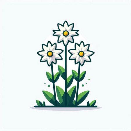 Flower design over white background, vector illustration. Flat design.のイラスト素材