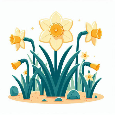 Cartoon narcissus flowers. Vector illustration of daffodil.のイラスト素材