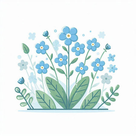 Blue forget-me-not flowers on white background. Vector illustration.のイラスト素材