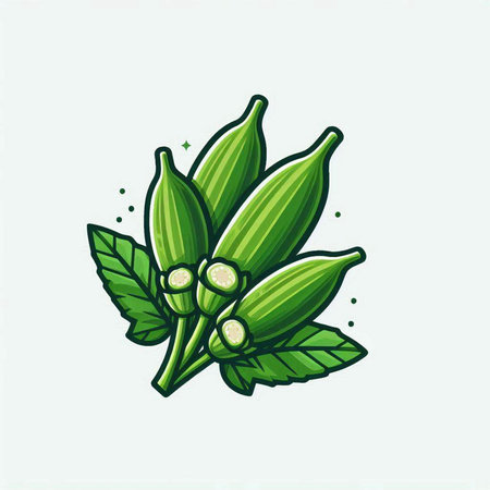 Okra vector illustration. Hand drawn illustration of okra with leaves.のイラスト素材