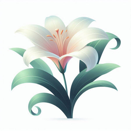 Flower of lily on a white background. Vector illustration.のイラスト素材