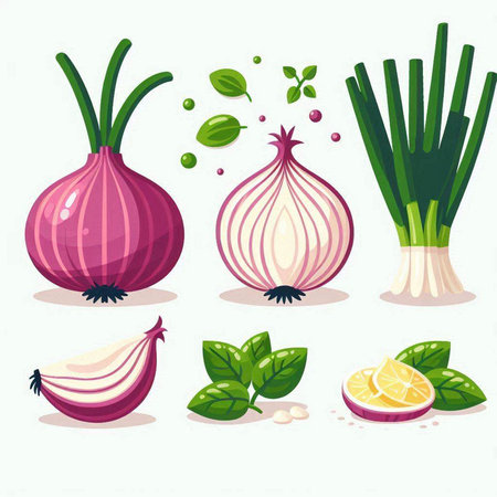 Vector illustration of a set of vegetables: onion, garlic, lemon, basil.のイラスト素材