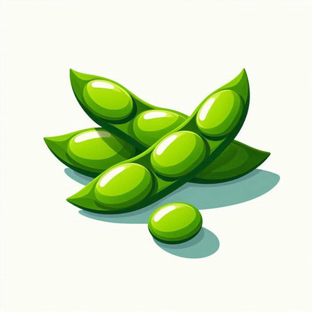 Green soybeans on a white background. Vector illustration. Eps 10のイラスト素材