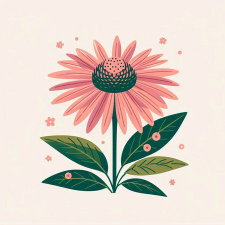 Echinacea flower with leaves and petals. Vector illustration.のイラスト素材